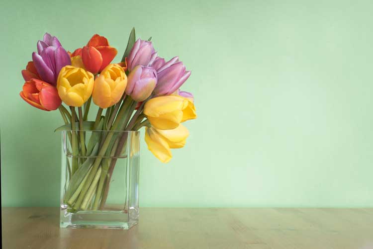 flowers-bouqet-tulips-s Vase of Flowers